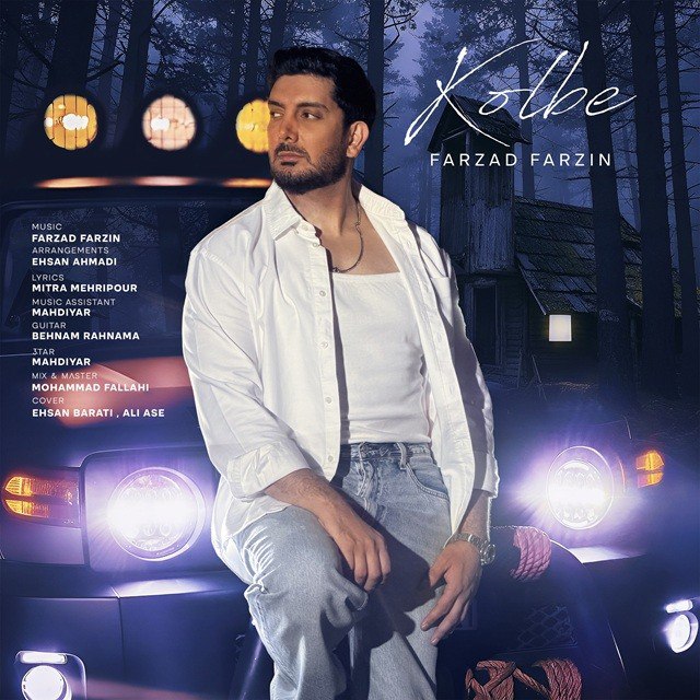 Farzad Farzin