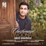 Cheshmaye Divoonat