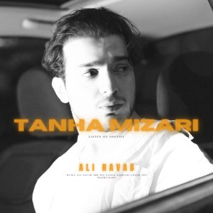 Tanha Mizari