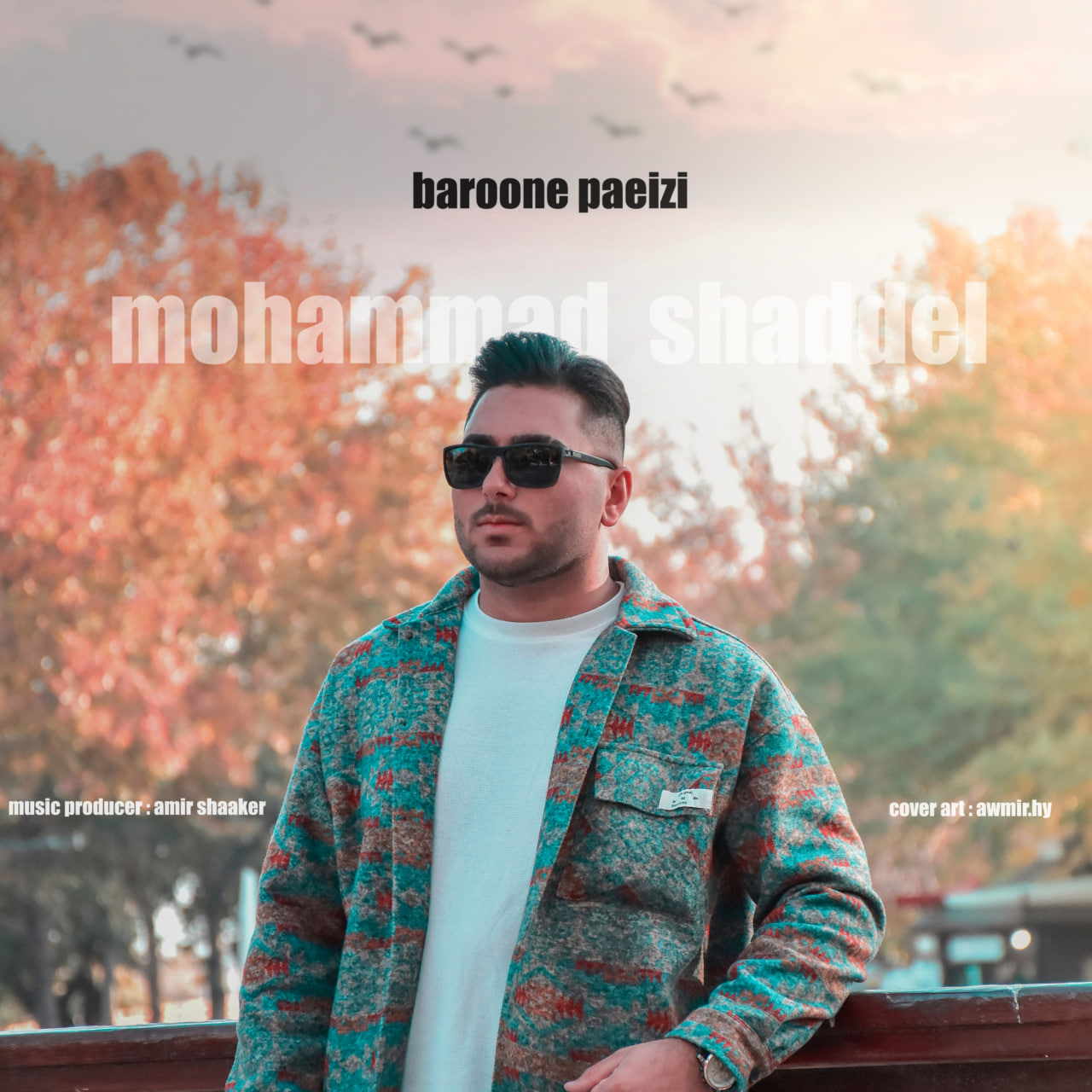 Baroone Paeizi
