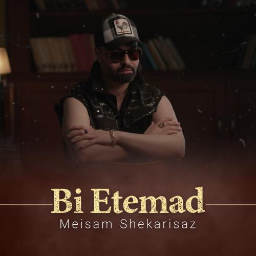 Meisam Shekarisaz