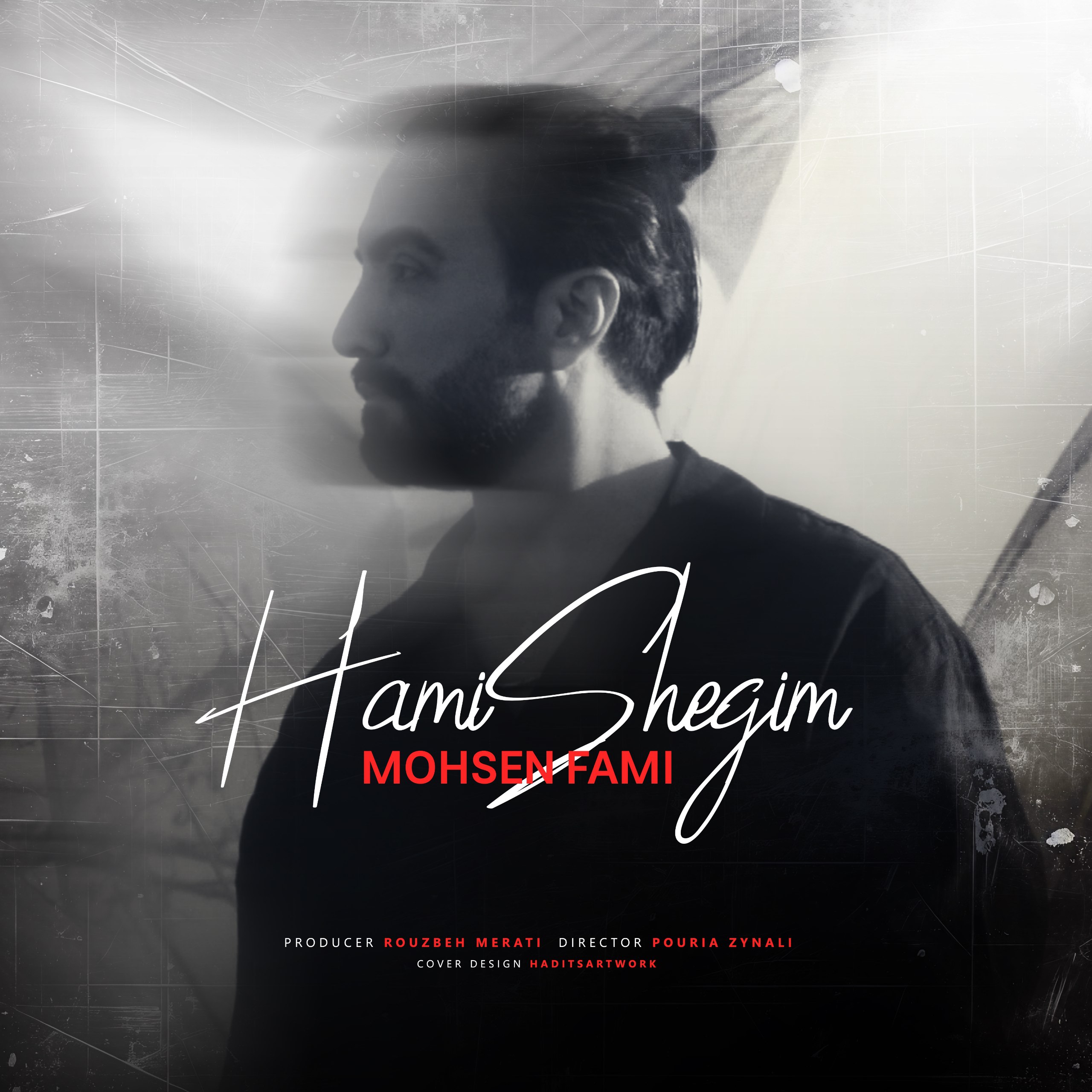 Hamishegim