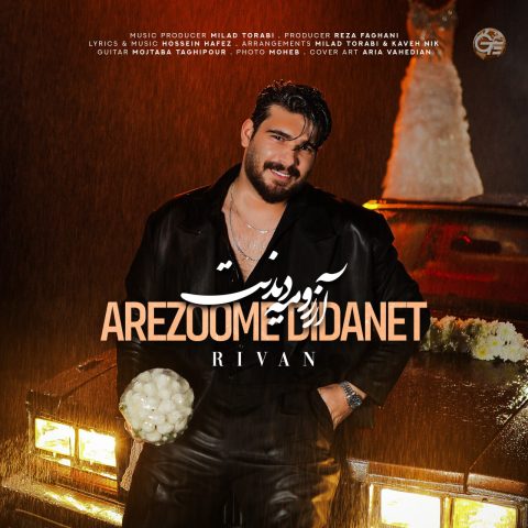 Arezoome Didanet