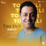 Too Deli