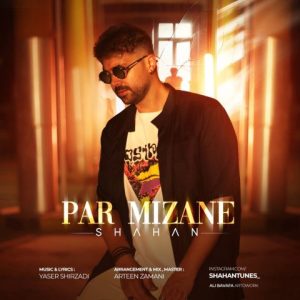 Par Mizane