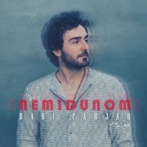 Nemidunom