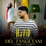 Del Tangetam