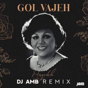 Gol Vajeh (Remix)