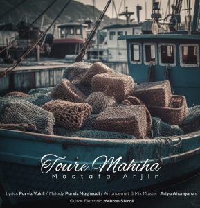 Toore Mahiha