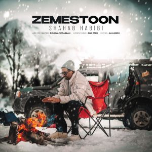 Zemestoon
