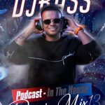 In The House Persian Mix 13