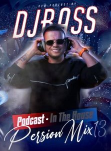 In The House Persian Mix 13