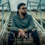 Gushi
