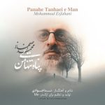Panahe Tanhaei Man