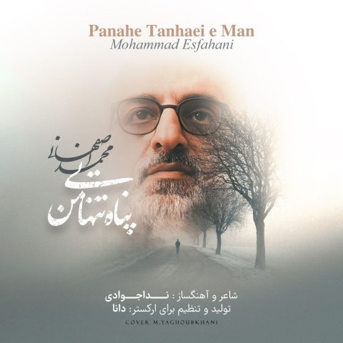 Panahe Tanhaei Man