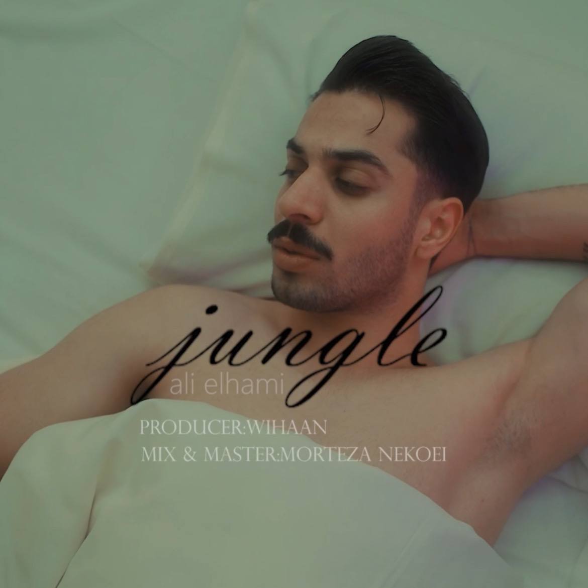 Jangal