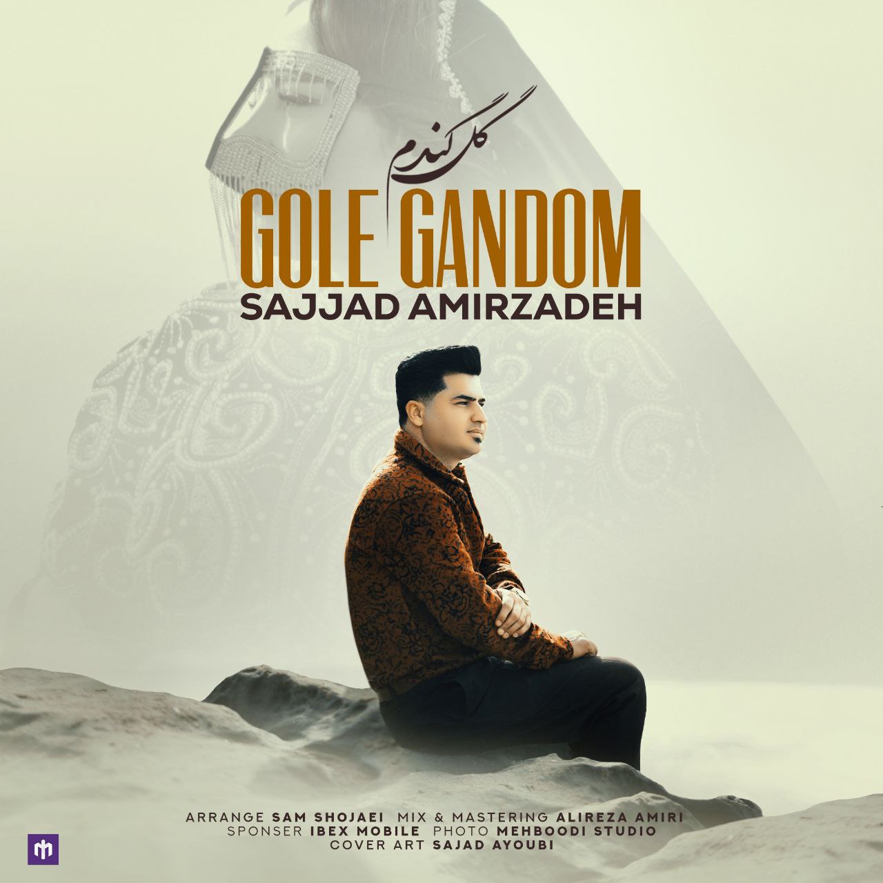 Sajjad Amirzadeh
