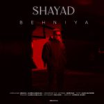 Shayad