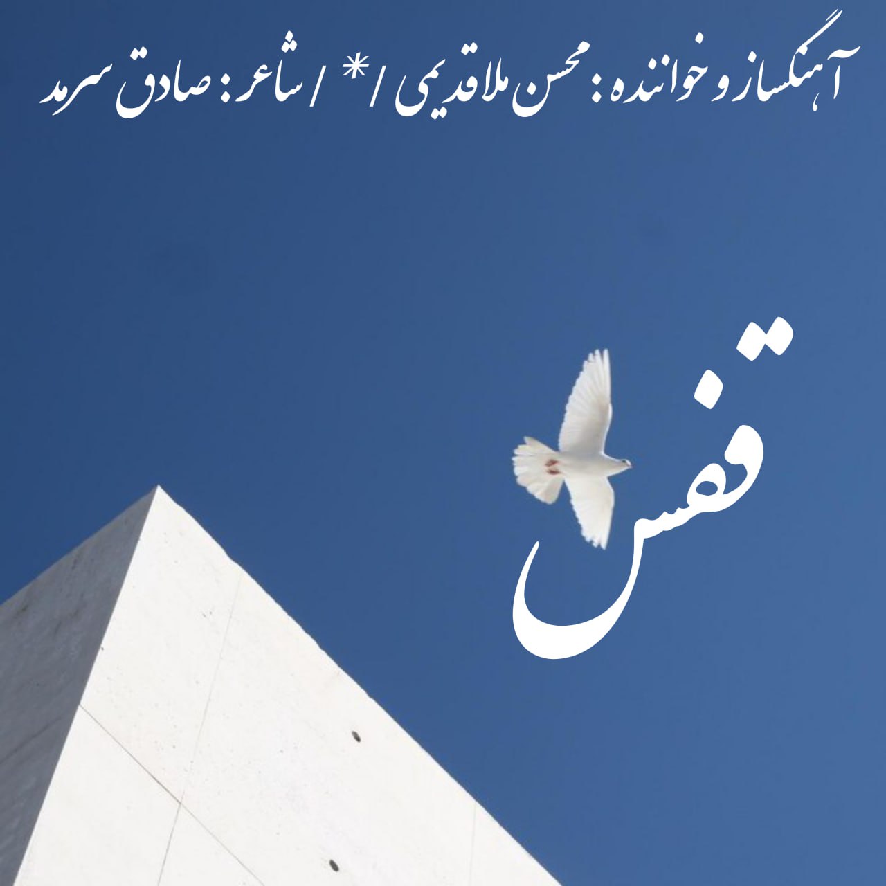 Mohsen Mollaghadimi