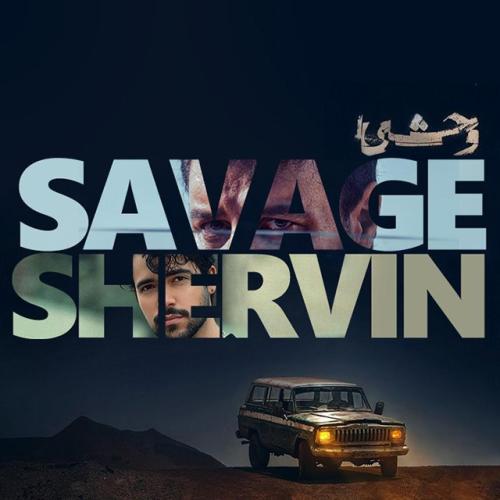 Shervin Hajipour