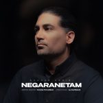 Negaranetam