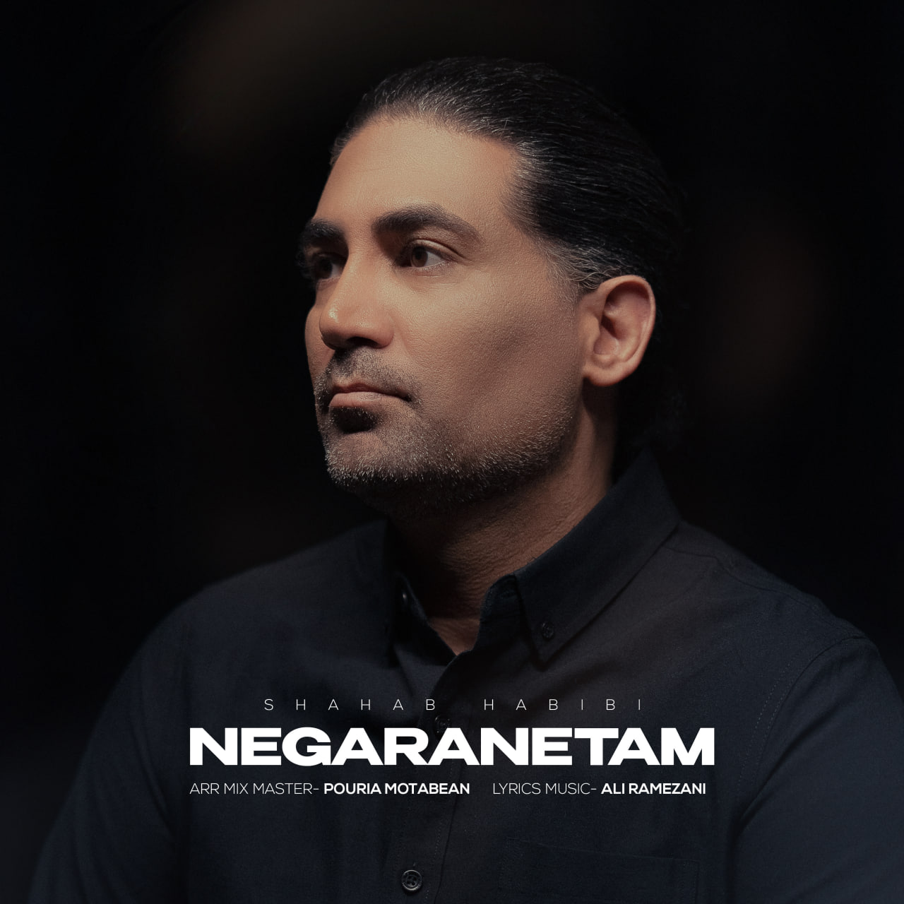 Negaranetam