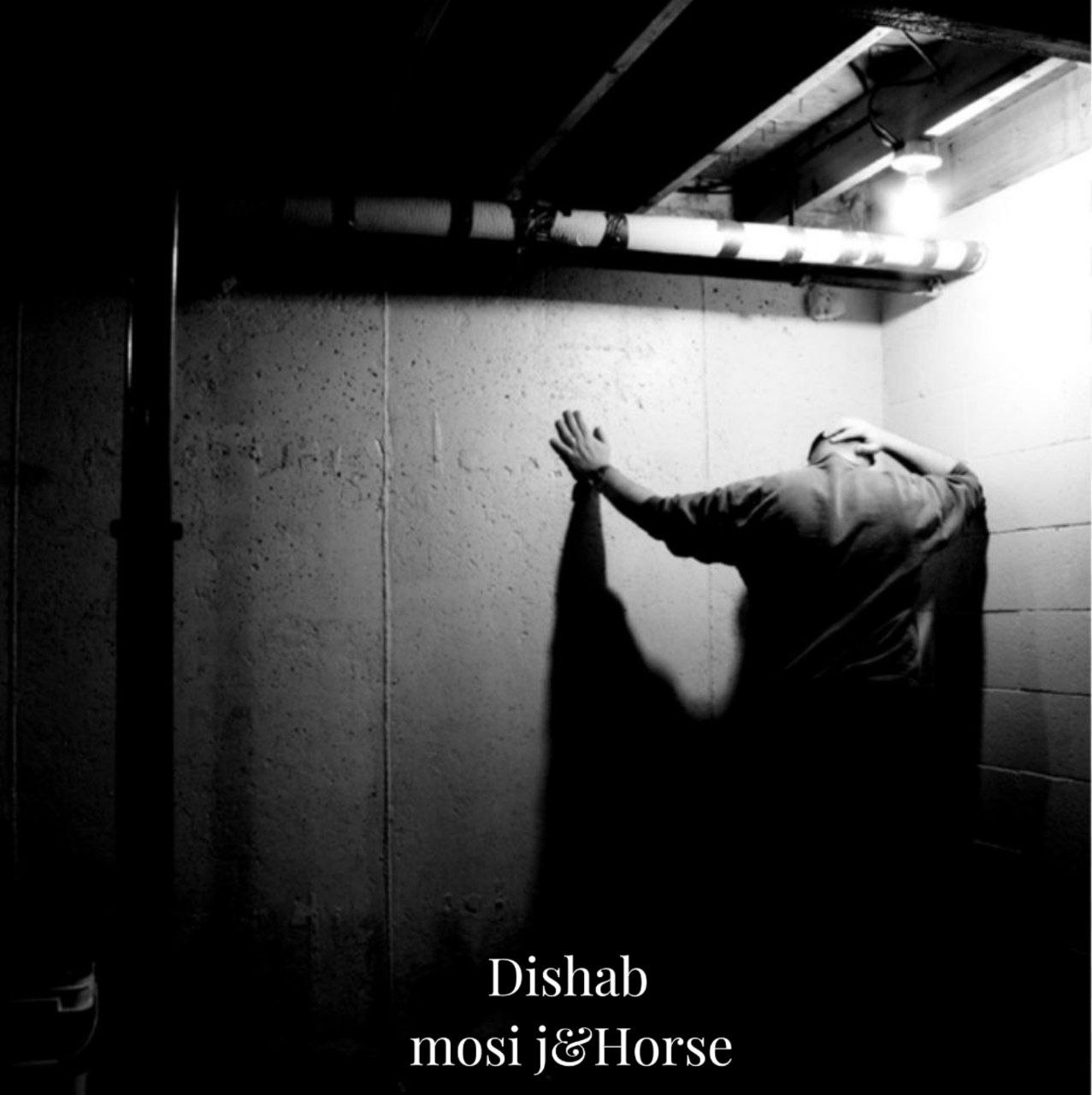Dishab
