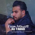 Delam Mikhadeta