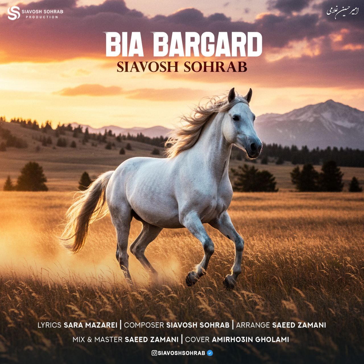 Bia Bargard