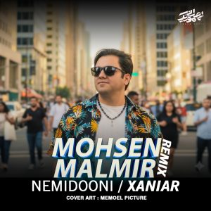 Nemidooni (Mohsen Malmir Remix)