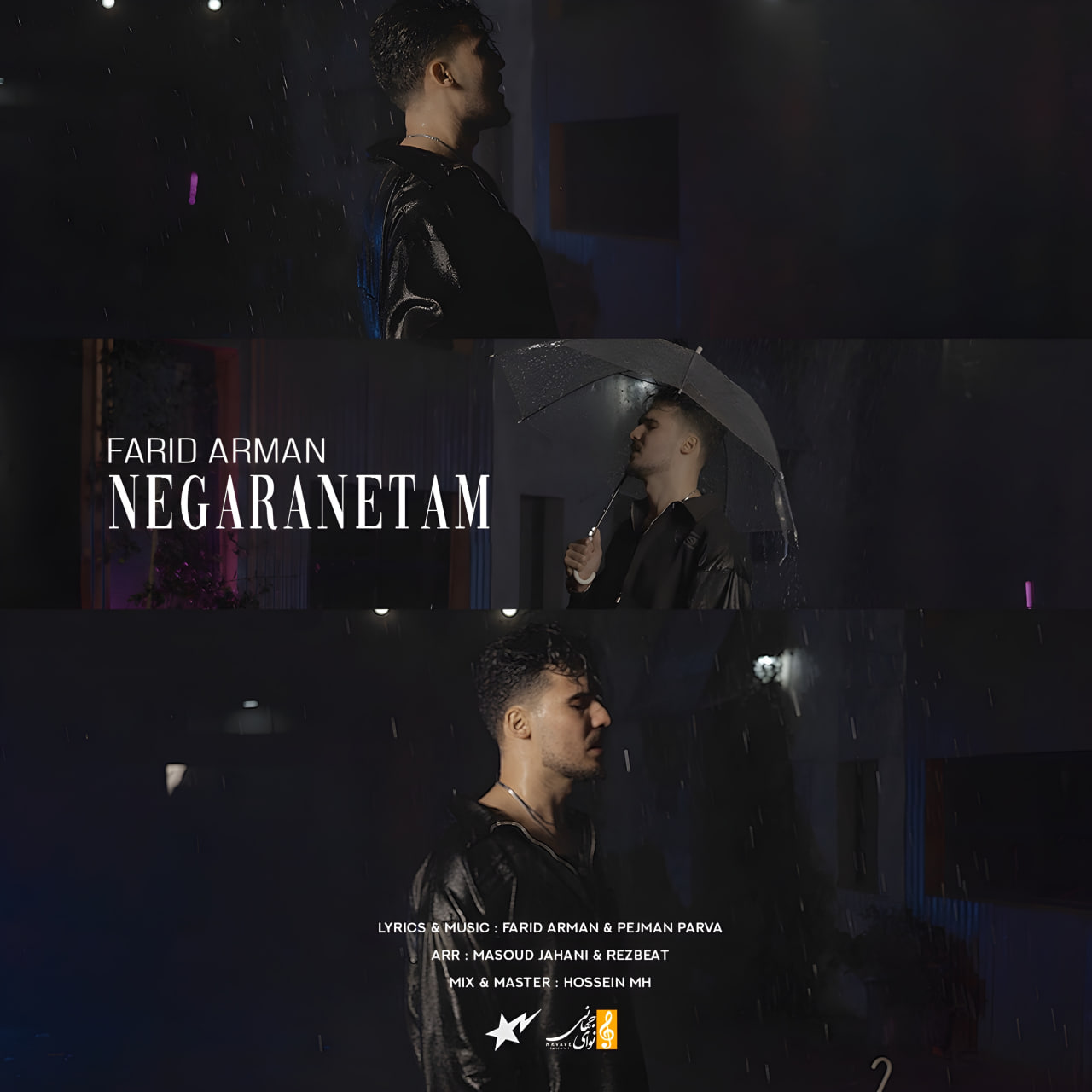 Negaranetam