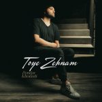 Toye Zehnam
