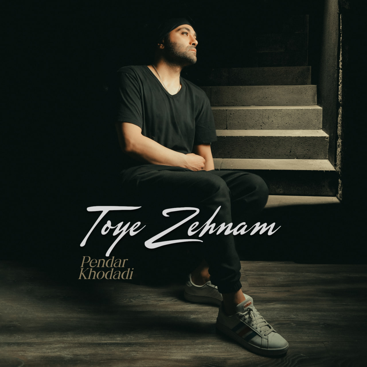 Toye Zehnam