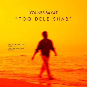 Too Dele Shab