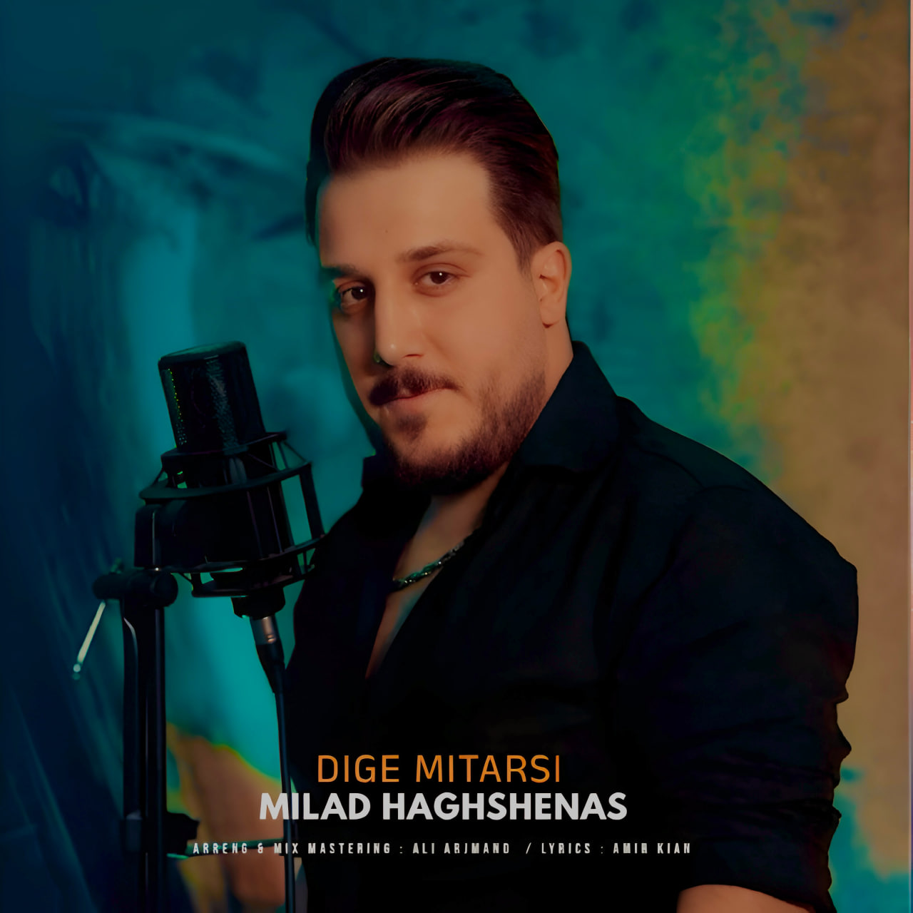 Dige Mitarsi