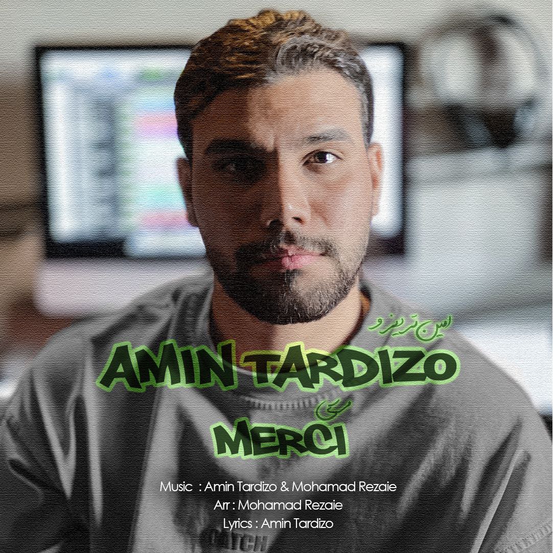 Amin Tardizo