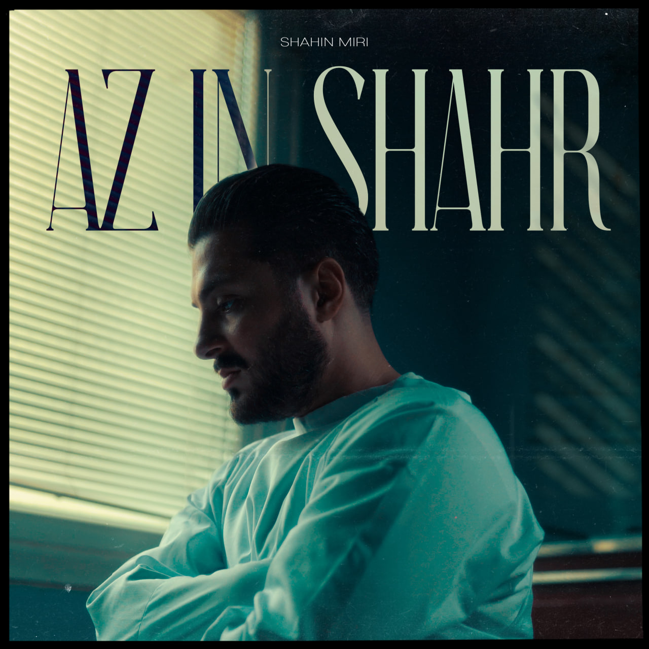 Shahin Miri