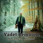 Yadet Bemoone
