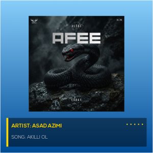 Akilli Ol