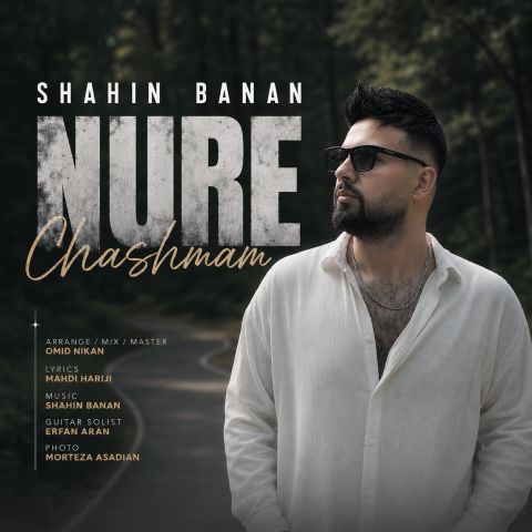 Shahin Banan