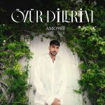 Özür Dilerim