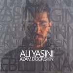 Azam Door Shin