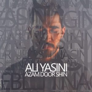 Azam Door Shin