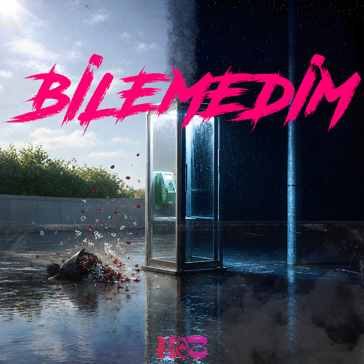 Bilemedim