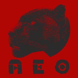 A.E.O.