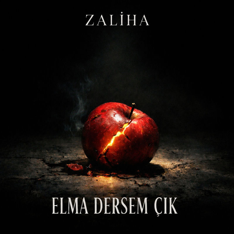 ELMA DERSEM ÇIK