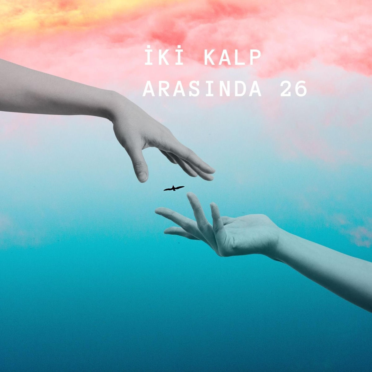 IKI KALP ARASINDA 26