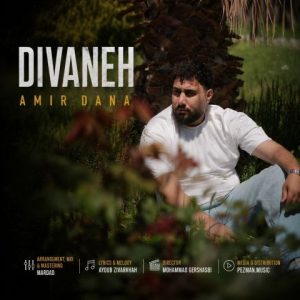 Divaneh