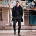Mesle Zemestouni