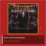 Male Man Bash